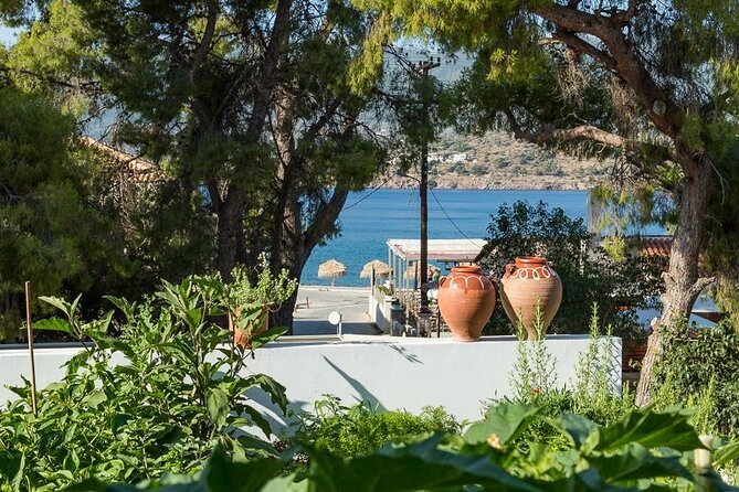 Traditional Greek Cooking Class and Organic Lunch on Poros - Pricing and Booking Details