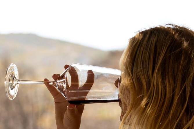 Traditional Greek COOKING Class and Wine Tasting in Rhodes - Overview of the Experience