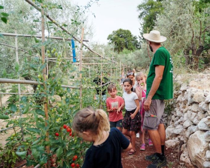 Traditional Greek Cooking Class @ Lefkada Micro Farm - Location and Facilities