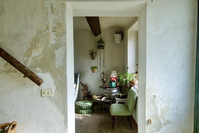 Traditional Italian Cooking Class on a Sustainable Farm Using Foraged Wild Herbs - Foraging for Wild Herbs