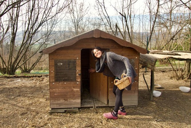 Traditional Italian Cooking Class on a Sustainable Farm Using Foraged Wild Herbs - Cooking in Local Kitchen