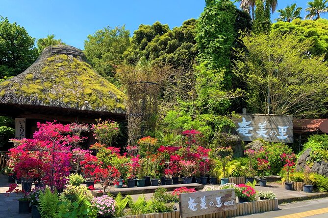 Traditional Kusaki-zome Dyeing Experience in Amaminosato - Booking and Cancellation Policy