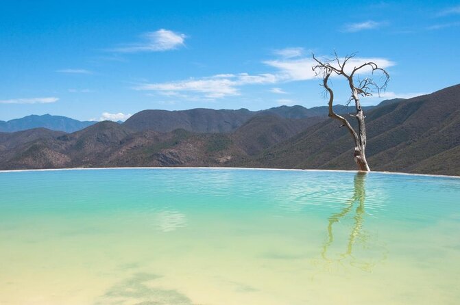Traditional Market ,Widest Tree, Artisanal Textiles, Mezcal Magic - Key Points