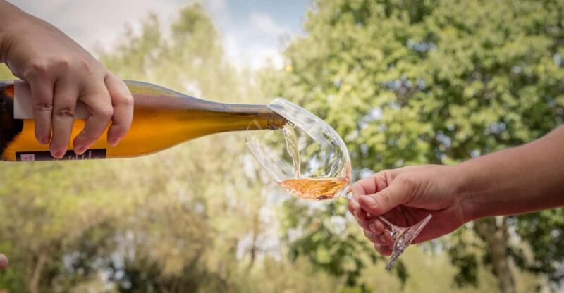 TRADITIONAL MARKET, WINERIES AND TASTINGS TOUR - Cultural Immersion and Local Expertise