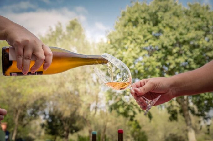 TRADITIONAL MARKET, WINERIES AND TASTINGS TOUR - Accessibility and Language Options