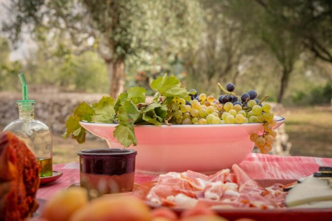 TRADITIONAL MARKET, WINERIES AND TASTINGS TOUR - Sustainable Farming Practices