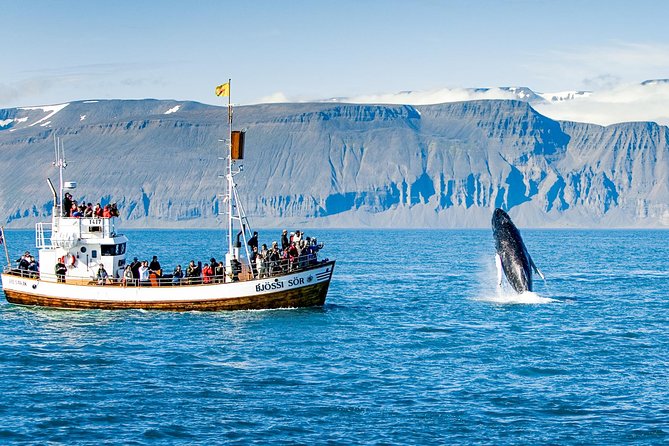 Traditional Oak Ship Whale Watching Tour From Husavik - Tour Guide Expertise