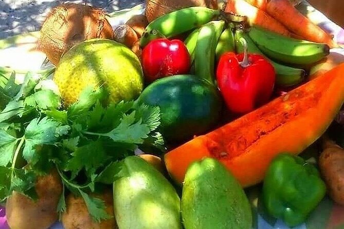 Traditional Rastafarian Ital Food at Pinneys Beach - Exploring Pinneys Beach