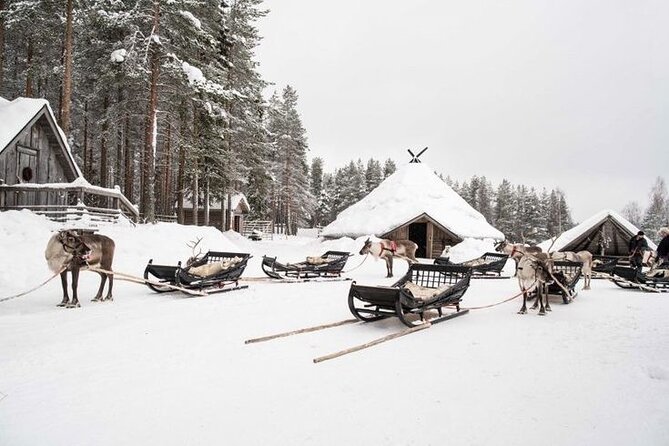 Traditional Reindeer Farm Visit With a Short Sleigh Ride - Quick Points