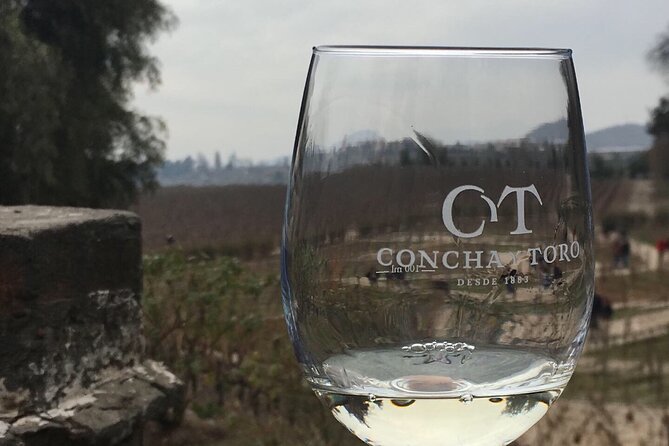 Traditional Tour at Concha Y Toro Winery - Exploring the Concha Y Toro Winery