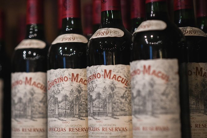 Traditional Tour Viña Cousiño Macul Official Spanish - Winemaking Process Insights