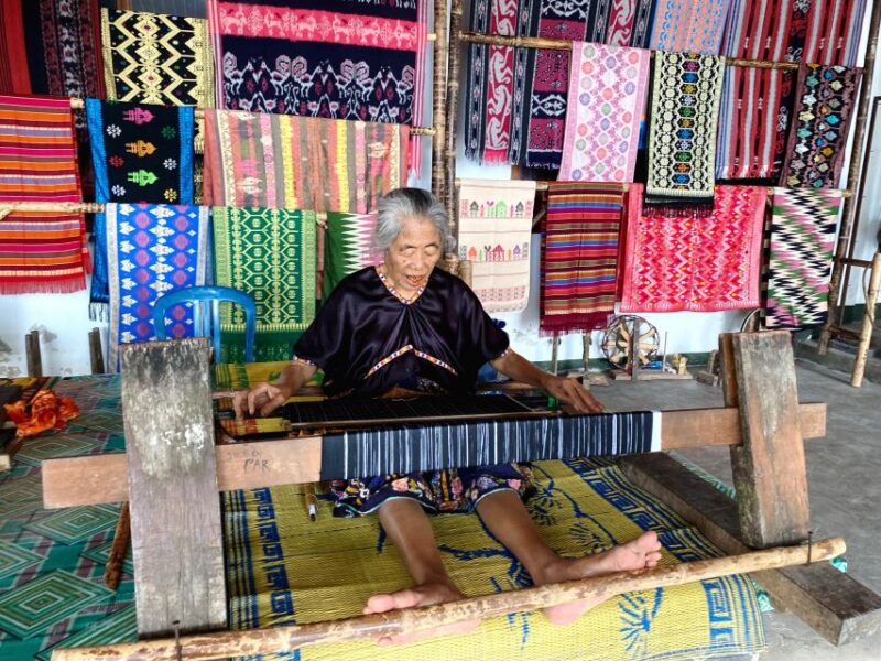 Traditional Village and South Beach Tour - Accessibility and Group Type