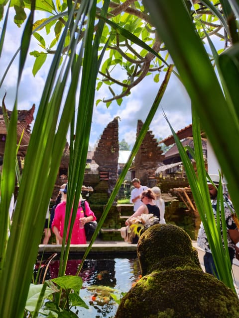 Traditional Village Tour, Balinese Dance & Gamelan Lesson - Rice Terrace Views
