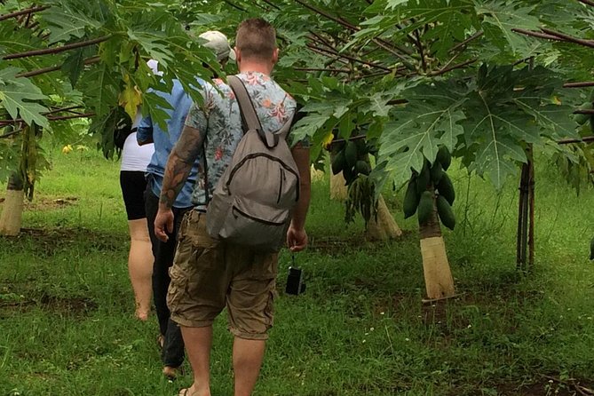 Traditional Village Tour - Key Points