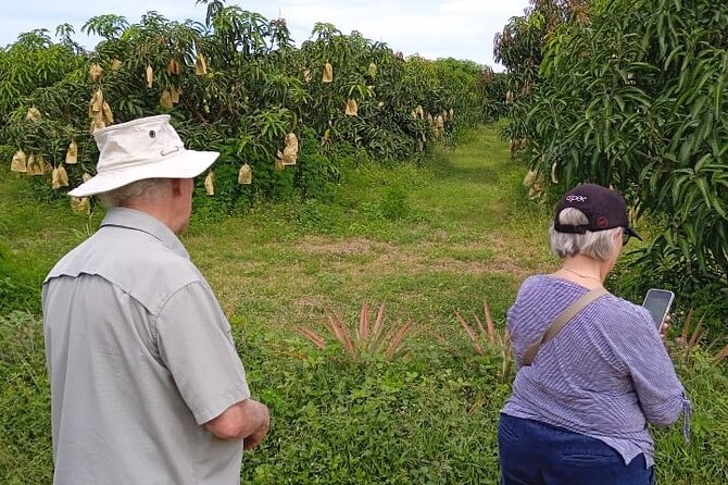Traditional Village Tour - Guest Reviews