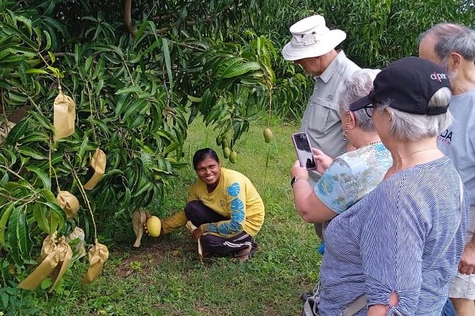Traditional Village Tour - Additional Details