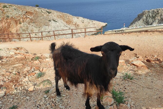 Traditional Villages of Chania Private Tour to Explore Pure Crete - Included in the Tour