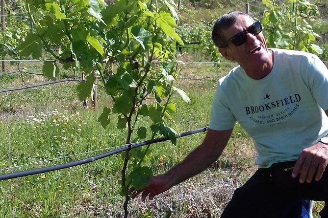 Traditional Vinho Verde Tour in Bowl With Private Transfer (Porto and Braga) - Food and Dining Experience