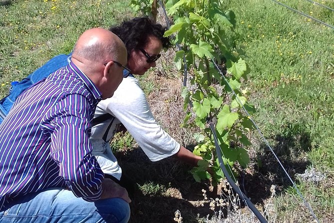 Traditional Vinho Verde Tour in Bowl With Private Transfer (Porto and Braga) - Exploring Vinho Verde