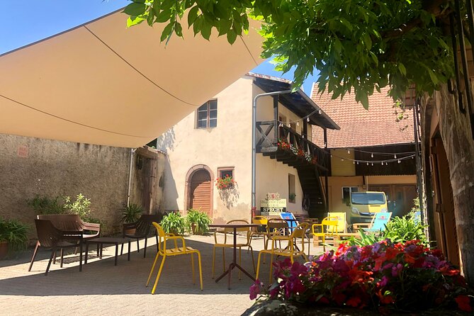 Traditional Visit and Tasting - Fermentation and Winemaking Processes