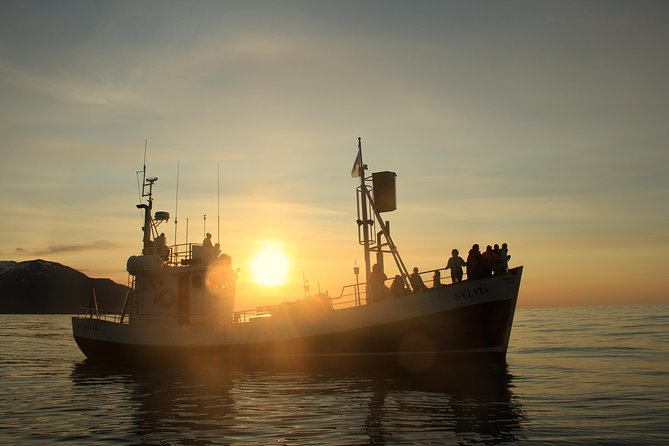 Traditional Whale Watching Tour From Húsavík - Confirmation and Accessibility