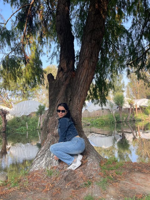 Traditional Xochimilco - Tour Highlights
