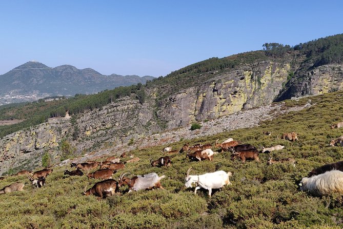 Trail of Ermelo - Meeting Point and Logistics
