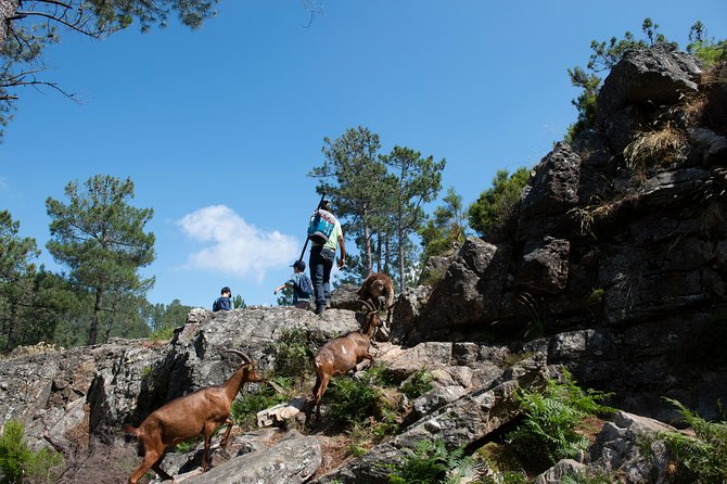 Trail of Ermelo - Reviews and Ratings