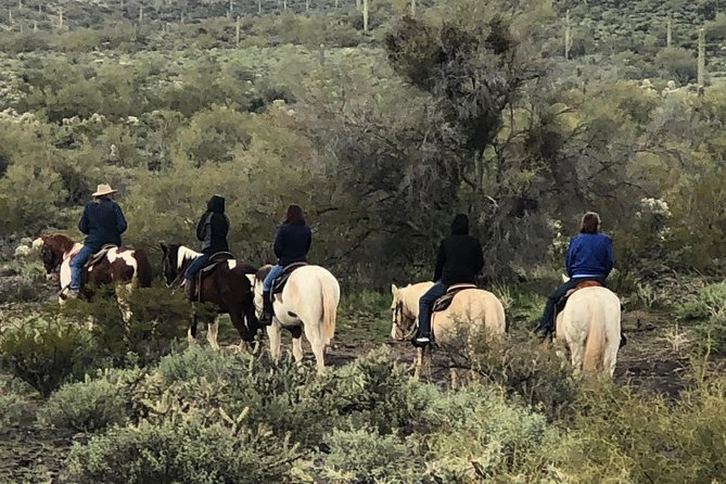 Trail Riding for the Individual or Group. Best Trail Rides Anywhere in Arizona. - Health and Accessibility Information