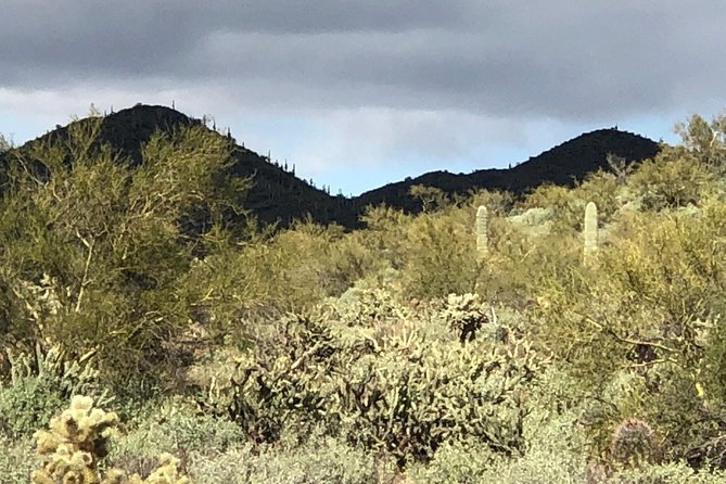 Trail Riding for the Individual or Group. Best Trail Rides Anywhere in Arizona. - Booking Details
