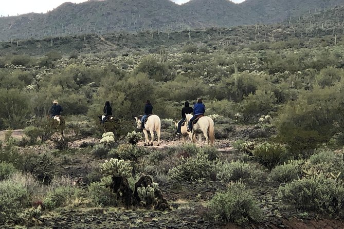 Trail Riding for the Individual or Group. Best Trail Rides Anywhere in Arizona. - Customer Reviews