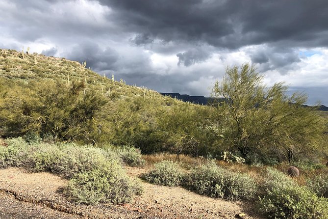 Trail Riding for the Individual or Group. Best Trail Rides Anywhere in Arizona. - Location and Pricing