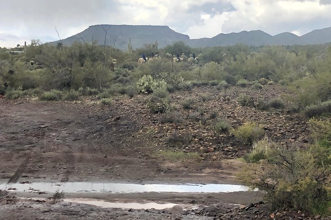 Trail Riding for the Individual or Group. Best Trail Rides Anywhere in Arizona. - Horseback Riding Lesson