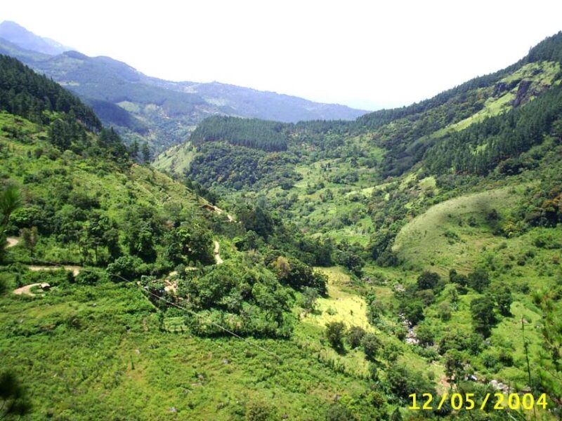 Trail Running From Haputele to Bambarakanda Water Falls - Key Attractions