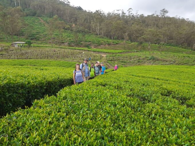Trail Running From Haputele to Bambarakanda Water Falls - Frequently Asked Questions