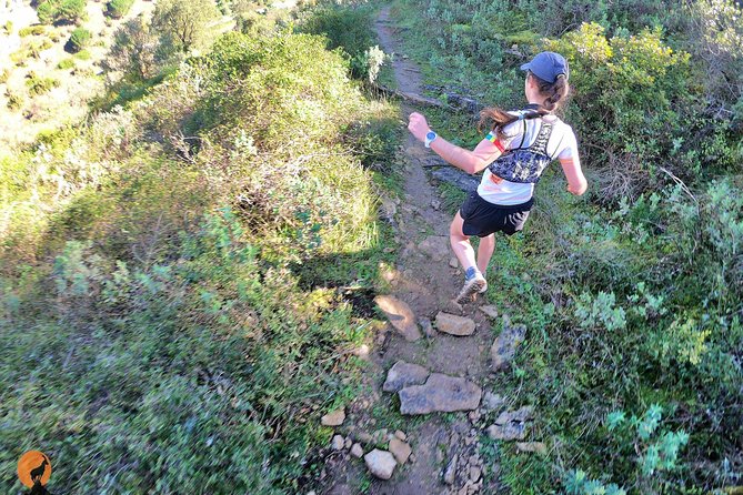 Trail Running in Coimbra - Whats Included in the Tour