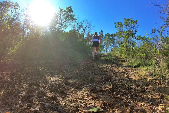 Trail Running in Coimbra - Booking and Confirmation Process