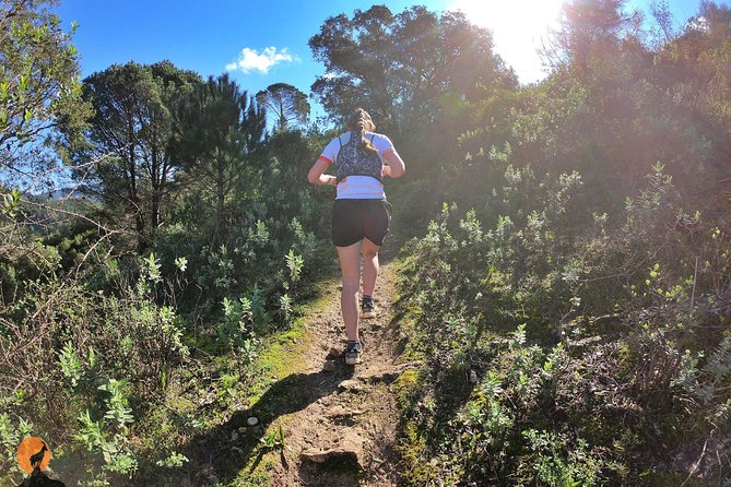 Trail Running in Coimbra - Participants Experiences