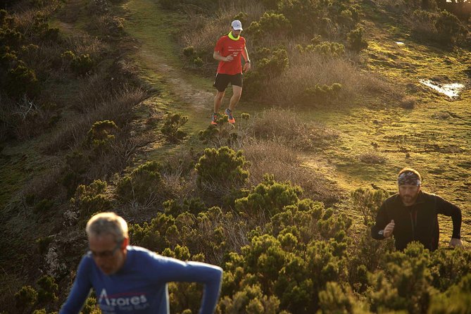 Trail Running Private Tour in Faial - Additional Information