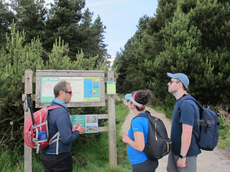 Trails and Tombs of the Dublin Mountains Trek - Itinerary Highlights