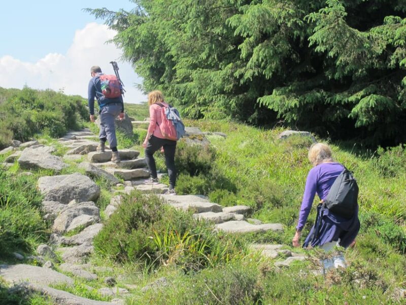Trails and Tombs of the Dublin Mountains Trek - Transportation and Stops