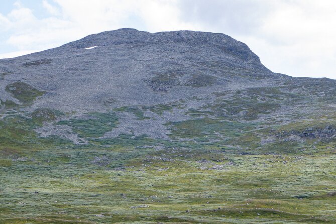 Train and Bus Tour From Bergen to Oslo via Hardangervidda/Fjord - Accessibility and Participation