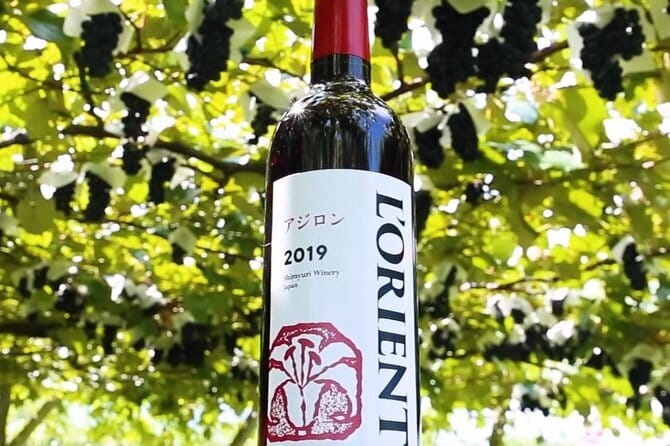 Train and Taxi Grape Temple and Winery Tour in Yamanashi - Meeting and Pickup