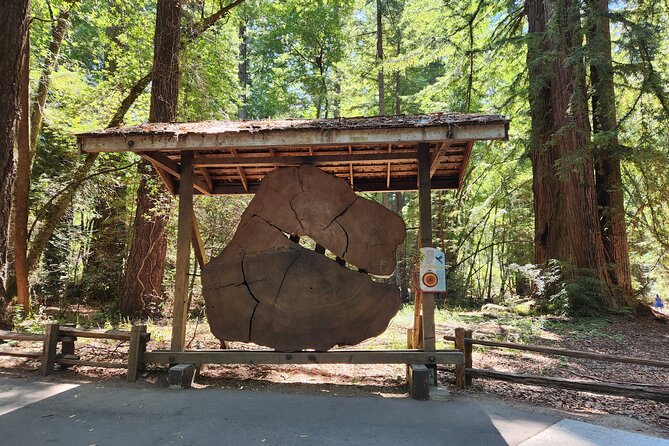 Train Ride Adventure Through Mother Natures Giant Redwoods Park - Tickets and Inclusions