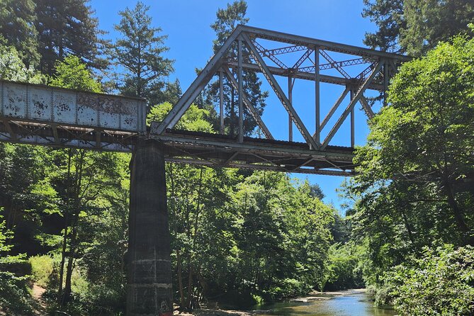 Train Ride Adventure Through Mother Natures Giant Redwoods Park - Schedule and Accessibility