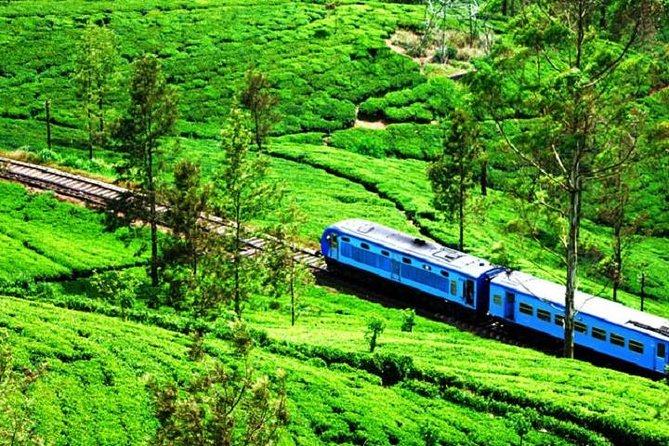 Train Tickets From Nanuoya (Nuwaraeliya) to Ella - Key Points