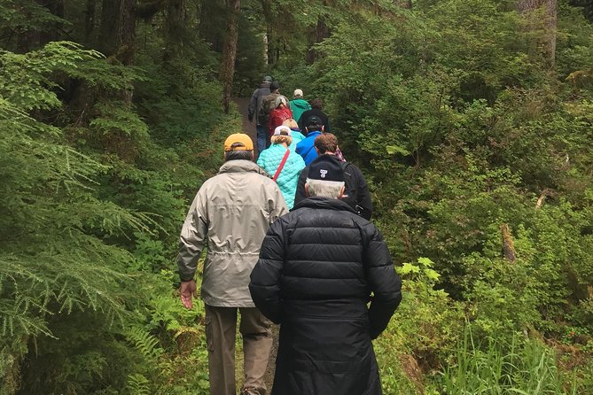 Traitors Cove Bear Viewing - Accessibility and Attire Recommendations