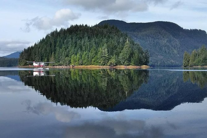 Traitors Cove Bear Viewing - Pricing and Customer Reviews