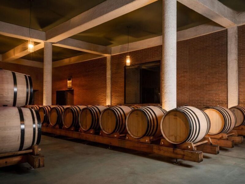 Tramin/Termeno: Winery Tour & Wine Tasting, J. Hofstätter - Guided Tour Details