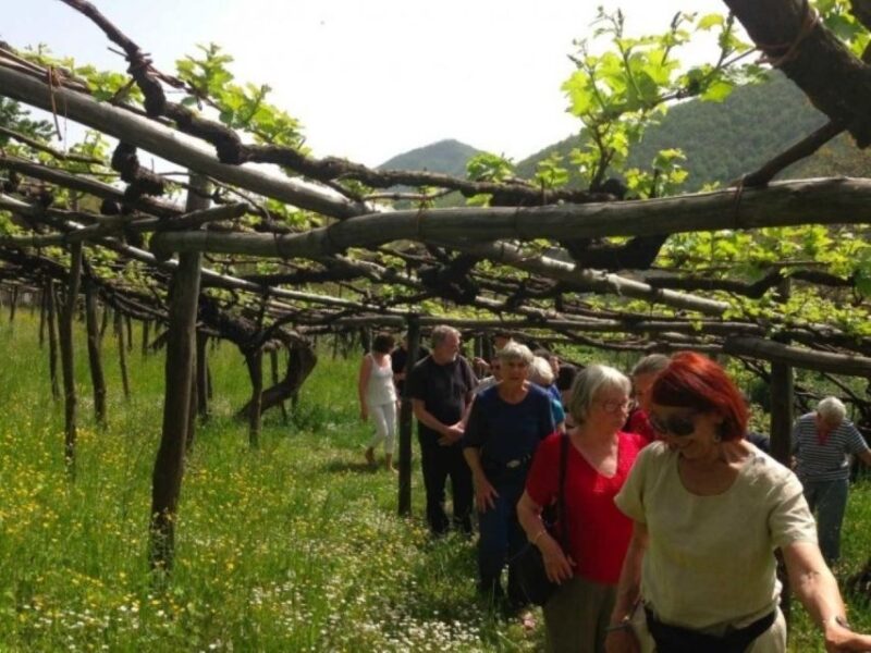 Tramonti: Tenuta San Francesco Wine Tasting - Location and Setting